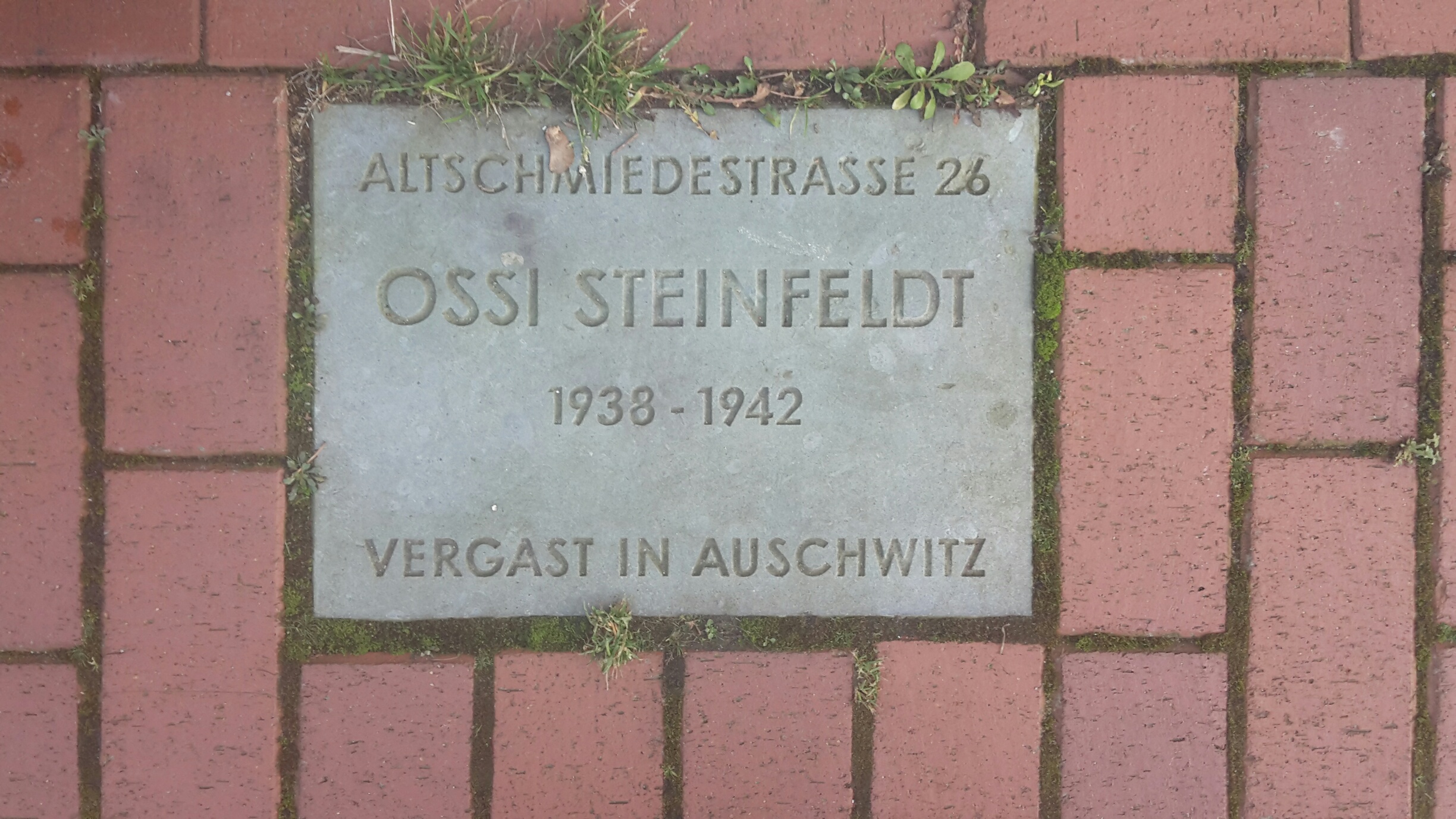 20200102 Ossi Steinfeldt